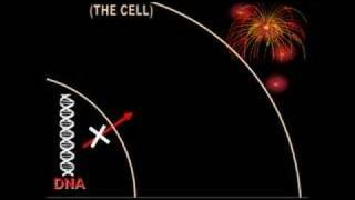 In Situ Hybridization [upl. by Oriaj]