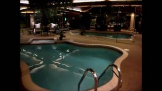 Sybaris Northbrook ILMajestic Swimming Pool SuiteAnniversary weekend [upl. by Wilhelm]