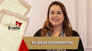 Explica Direito Filiação Socioafetiva  2019 [upl. by Eednus28]