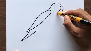 How to Draw a Parrot [upl. by Fihsak151]