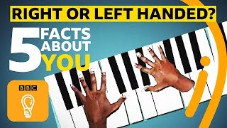 Right or lefthanded 5 facts about you  BBC Ideas [upl. by Alvis349]