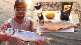 How To Catch Mullet Using A Float amp Bread  Catch N Cook [upl. by Ajile]