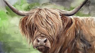 Watercolor Highland Cow Painting Tutorial [upl. by Nalim875]