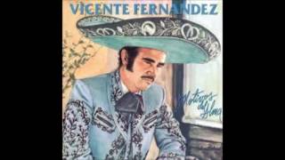 AUNQUE ME DUELA EL ALMA  VICENTE FERNANDEZ FULL AUDIO [upl. by Arres]