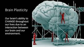 Brain Plasticity and Aging [upl. by Ellatsirhc102]