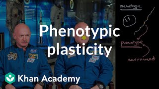 Phenotype plasticity  Heredity  AP Biology  Khan Academy [upl. by Ezara647]