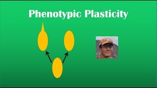 Phenotypic Plasticity Review BI 107 [upl. by Eloise]