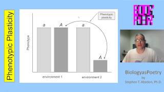 Phenotypic Plasticity [upl. by Lorilyn286]