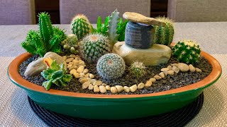 Cacti and Succulents Arrangement [upl. by Revilo]