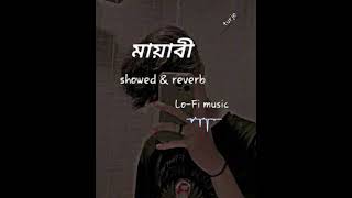 Mayabeeমায়াবীBlueTouchLyricsVideo128k [upl. by Vittorio]