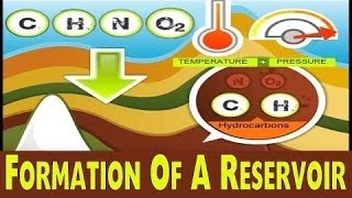 Formation Of Reservoir Rock  Oil amp Gas Animations [upl. by Toddy]