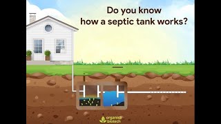 How A Septic Tank Works Septic Tank Treatment  Organica Biotech [upl. by Iarised]