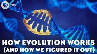 How Evolution Works And How We Figured It Out [upl. by Dedric]