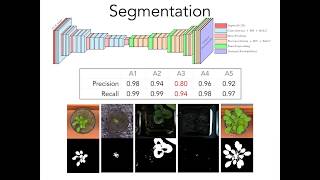 Deep learning for imagebased plant phenomics [upl. by Wilbert]