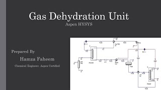 Natural Gas Dehydration Unit with TEG  Aspen HYSYS [upl. by Bravar]