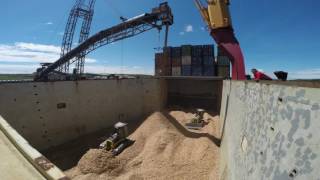 mv Hollandia loading woodchips in Sheet Harbour [upl. by Nlocnil]