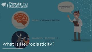 What is Neuroplasticity [upl. by Nekal916]