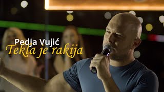 Pedja Vujic  Tekla je rakija  Bekrija Cover 2021 [upl. by Adneral410]