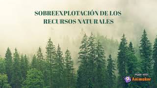 SOBREEXPLOTACIÓN DE LOS RECURSOS NATURALES [upl. by Grefer]