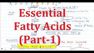 8 Essential Fatty Acids Part1 [upl. by Ajram358]