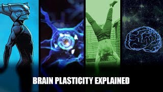 Brain Plasticity Explained How to Support Learning and Growth [upl. by Ynneh388]