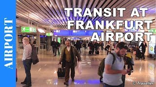 TRANSIT WALK AT FRANKFURT Airport FRA Terminal 1  Connection Flight Transfer Arriving amp Departing [upl. by Narda602]